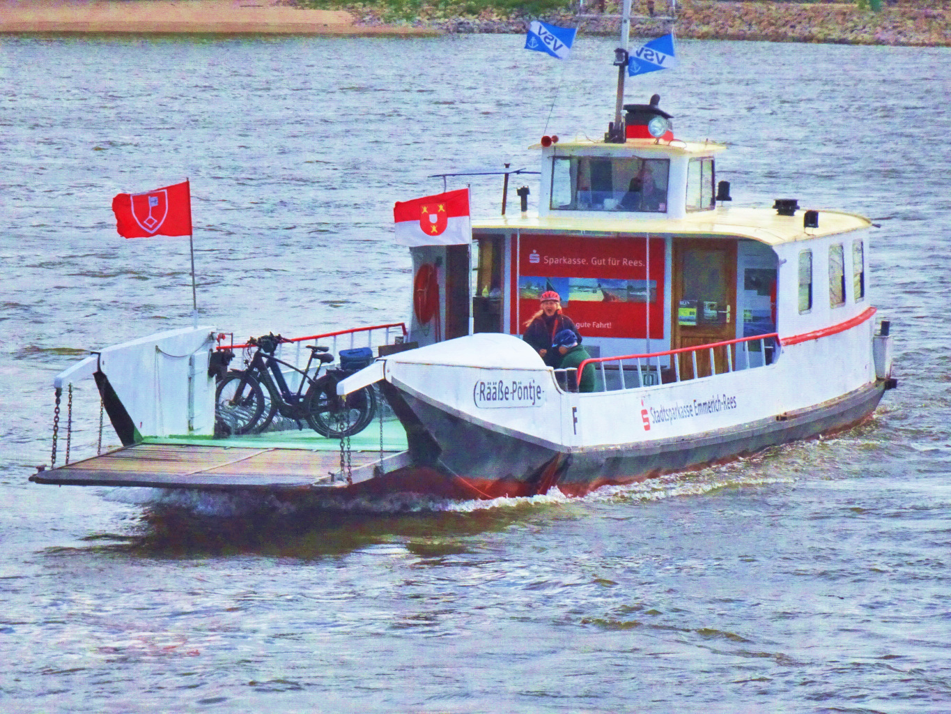 DSC08306c.JPG